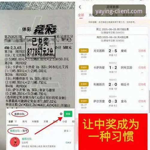 资深用户王芳的亚盈体育平台使用心得：从下载到沉浸观赛的实战经验